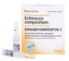 Эхинацея композитум СН раствор для инъекций 2,2 мл №1