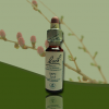 капли Баха №19,Лиственница,Ларч,Larch 10 мл