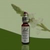 капли Баха №31,Вербена,Вервейн, Vervain 10 мл