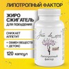 Липотропный фактор для снижения веса капсулы  №120