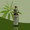 капли Баха №30,Каштан Благородный,Суит Честнат,Sweet chestnut 10 мл