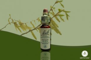 капли Баха №17,Граб,Хорнбим,Hornbeam 10 мл