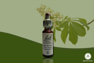 капли Баха №35,Каштан конский,Уайт Честнат,White chestnut 10 мл