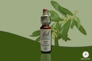 капли Баха №23,Маслина,Олив, Olive 10 мл