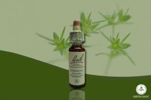 капли Баха №28,Ежа, Склерантус,Scleranthus 10 г